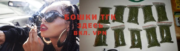 тгк Бородино
